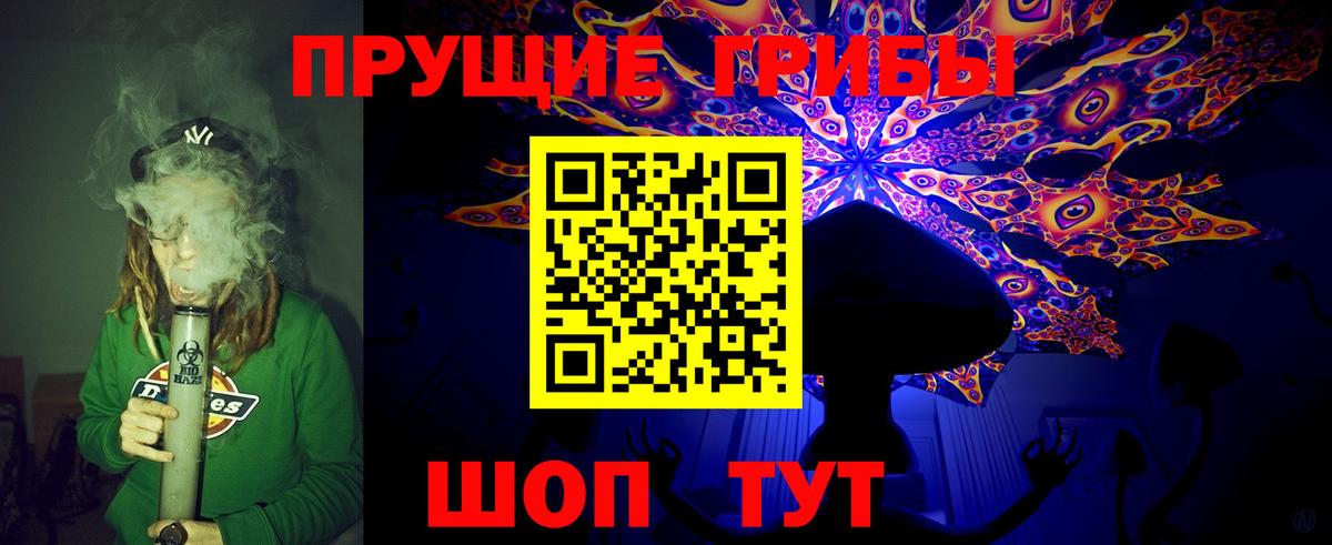 Галлюциногенные грибы Psilocybine cubensis  Галлюциногенные грибы мицелий  купить наркотик  Александров  Вход с VPN 